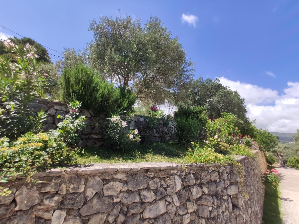 Irida Διαμέρισμα Απόλπαινα Εξωτερικό φωτογραφία